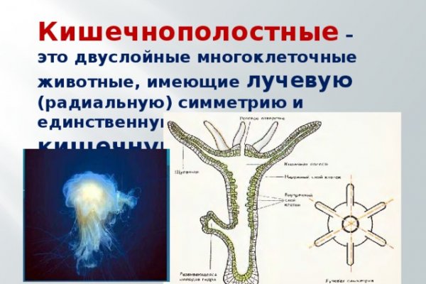 Ссылка кракен