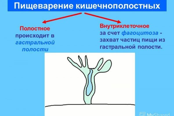 Пользователь не найден кракен даркнет