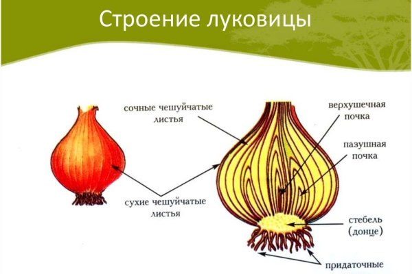 Кракен это современный даркнет маркет